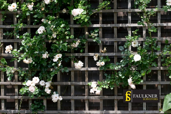 Can I put trellis on my Neighbours garage wall? 2 Do you want to adapt your neighbours garage door and add a trellis Wembley? Talk to Faulkner Surveyor Wembley